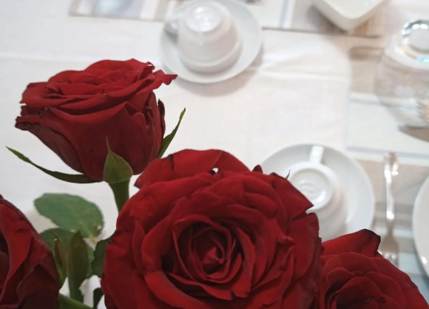 Bed and Breakfast Le piante di casa SaMar Castelguelfo