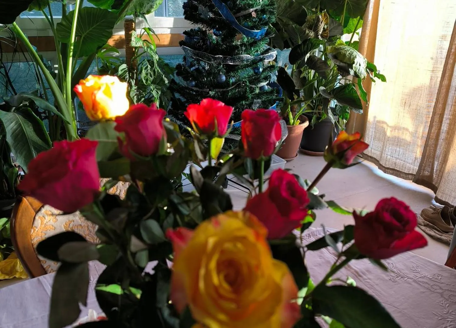 Bed and Breakfast Le piante di casa SaMar Castelguelfo Bed & Breakfast